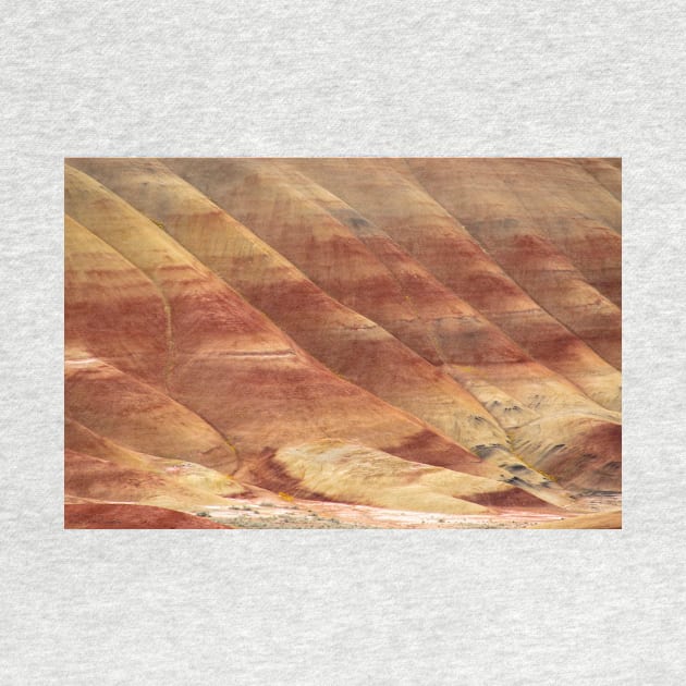 Painted Hills - Up Close And Personal - 3 © by PrinceJohn